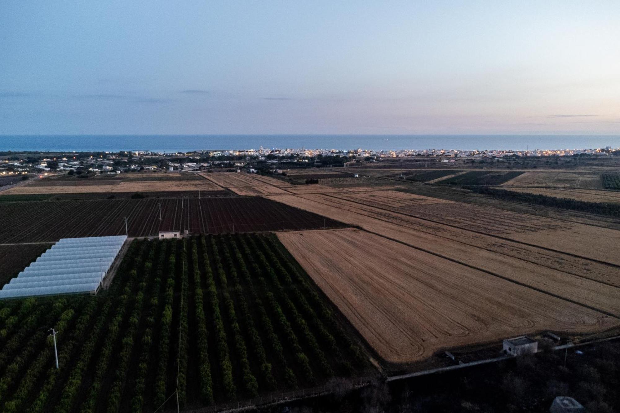 Dimora Soleda Apartment Torre San Giovanni Ugento Ngoại thất bức ảnh
